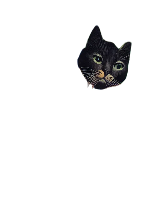 animal, creature, face, mask transparent PNG cut-out