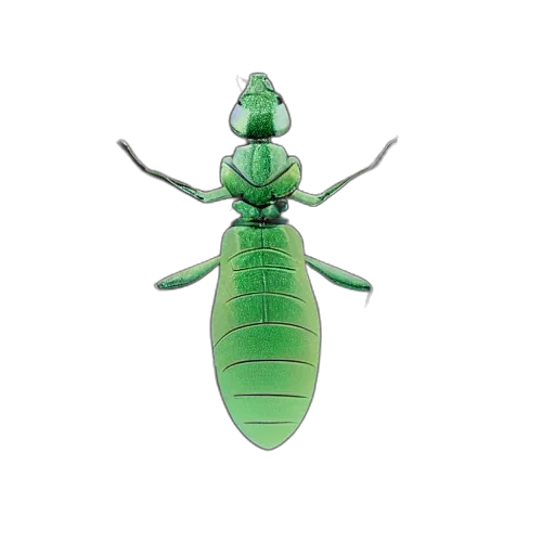 animal, creature, jewelry, staff, 3d render, concept art, green, closeup transparent PNG cut-out