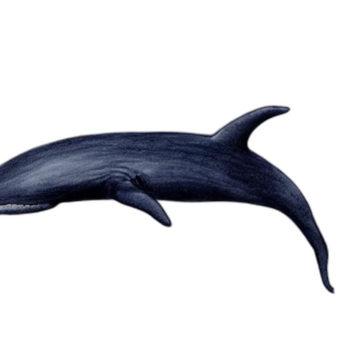 animal, creature, photorealistic, concept art transparent PNG cut-out