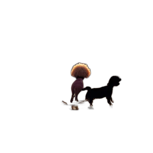 umbrella, animal, staff, hat, pixel art, concept art, 3d render, photorealistic transparent PNG cut-out
