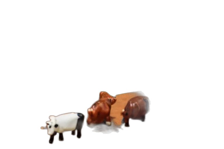 animal, food, furniture, creature transparent PNG cut-out