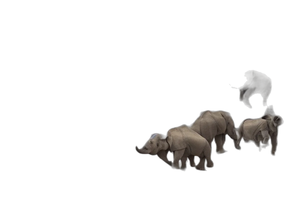 animal, creature, 3d render, concept art, pixel art, photorealistic, fog, forest transparent PNG cut-out
