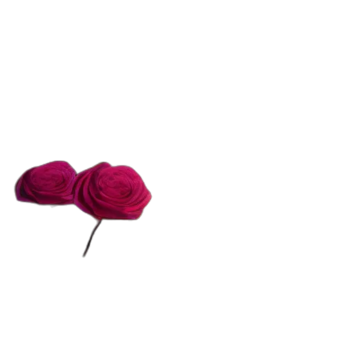 hat, flower, crown, jewelry transparent PNG cut-out