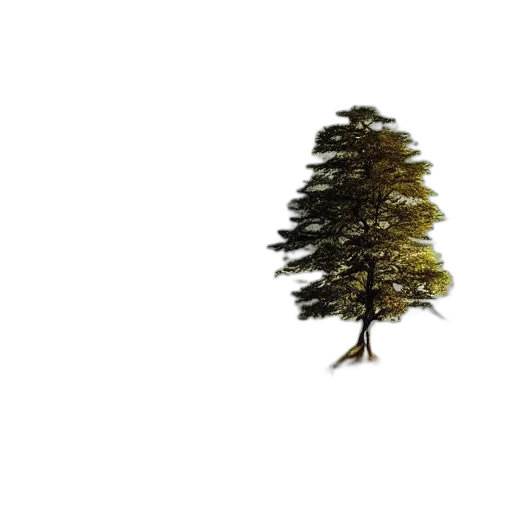 tree, crown, hair, hat, 3d render, photorealistic, concept art, pixel art transparent PNG cut-out