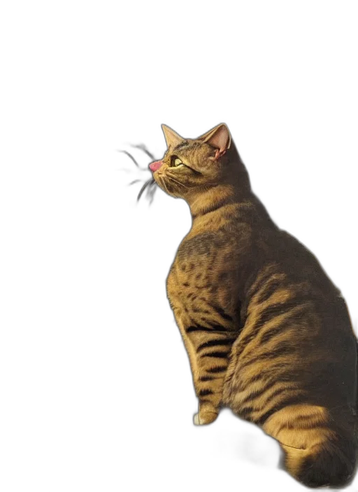 animal, creature, staff, weapon transparent PNG cut-out