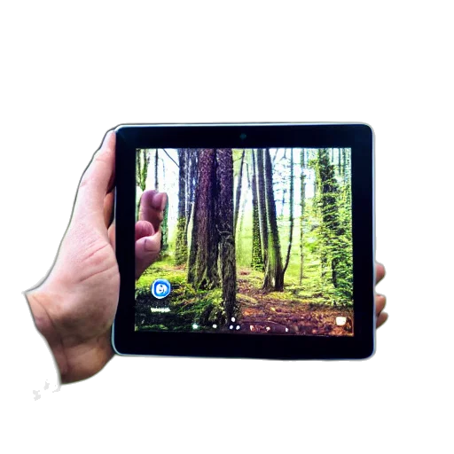 staff, forest, person, reviewing, tablet, alone transparent PNG cut-out