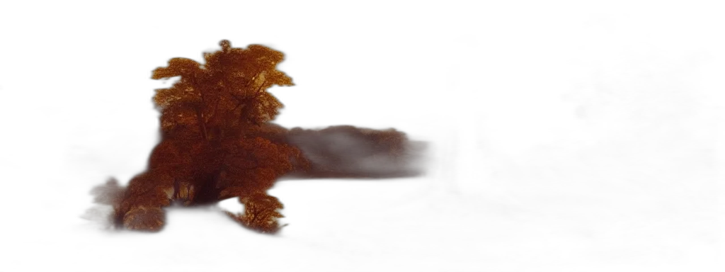 dragon, hair, creature, animal, 3d render, photorealistic, concept art, fog transparent PNG cut-out