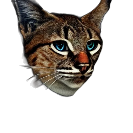 animal, jewelry, mask, face transparent PNG cut-out