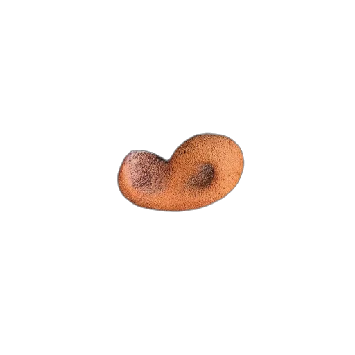 food, hair, jewelry, hat, photorealistic, 3d render, earth tones, different transparent PNG cut-out