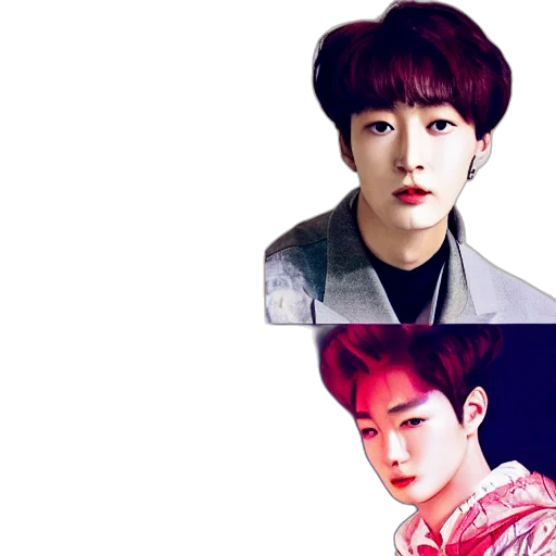 photorealistic, red, monochrome, dark transparent PNG cut-out