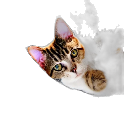 animal, staff, creature, face transparent PNG cut-out