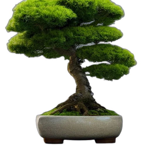 tree, crown, furniture, animal, 3d render, photorealistic, concept art, forest transparent PNG cut-out