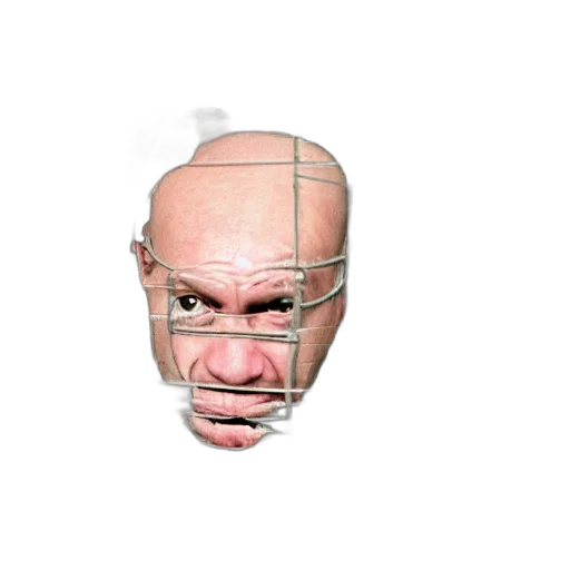face, mask, creature, animal, 3d render, photorealistic, concept art, pixel art transparent PNG cut-out