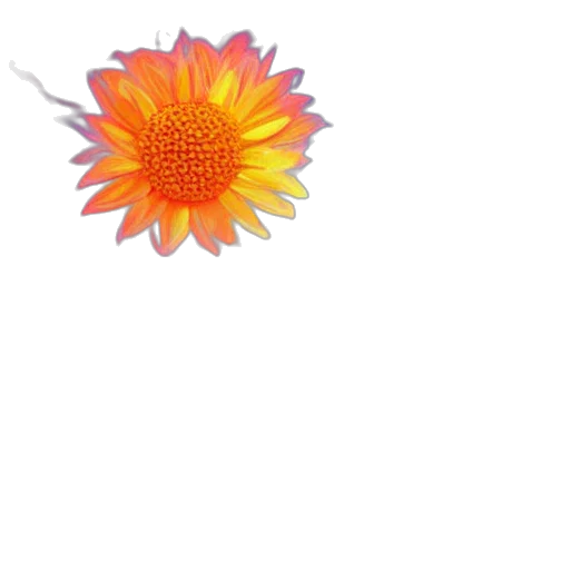 flower, crown, staff, umbrella transparent PNG cut-out