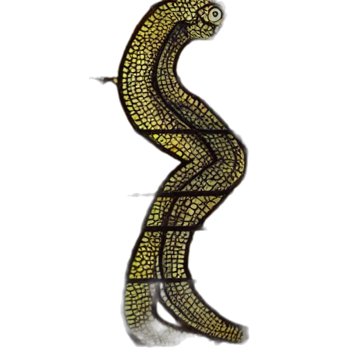 staff, animal, creature, jewelry, concept art, 3d render, photorealistic, side transparent PNG cut-out