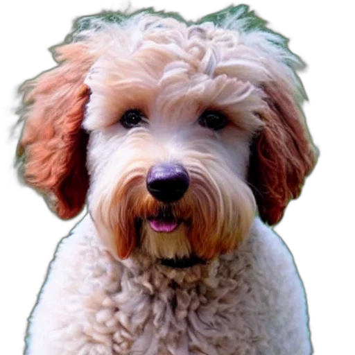 animal, face, staff, creature, photorealistic, oil painting, 3d render, cartoon transparent PNG cut-out