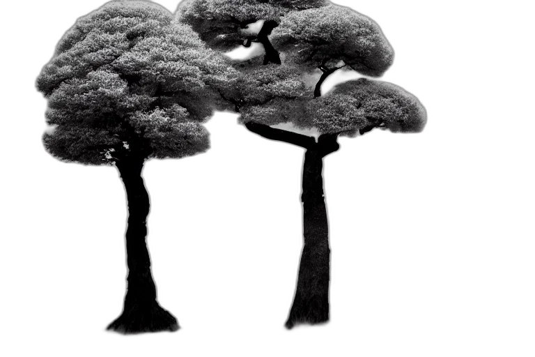 tree, crown, hair, umbrella, photorealistic, concept art, 3d render, fantasy art transparent PNG cut-out
