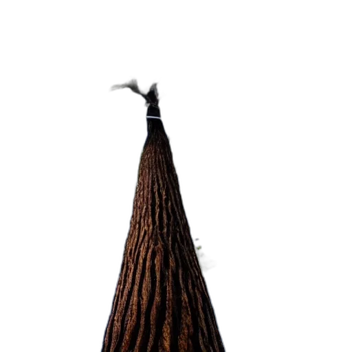 hat, hair, tree, crown, 3d render, photorealistic, concept art, fantasy art transparent PNG cut-out