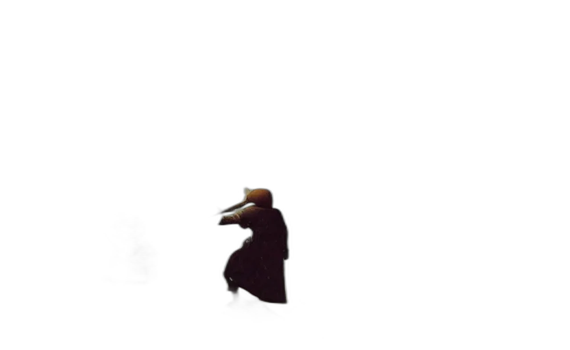 hat, animal, mask, creature transparent PNG cut-out