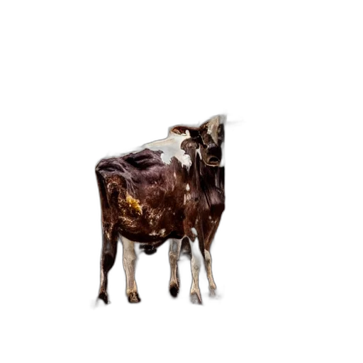 animal, creature, food, face, pixel art, photorealistic, 3d render, concept art transparent PNG cut-out