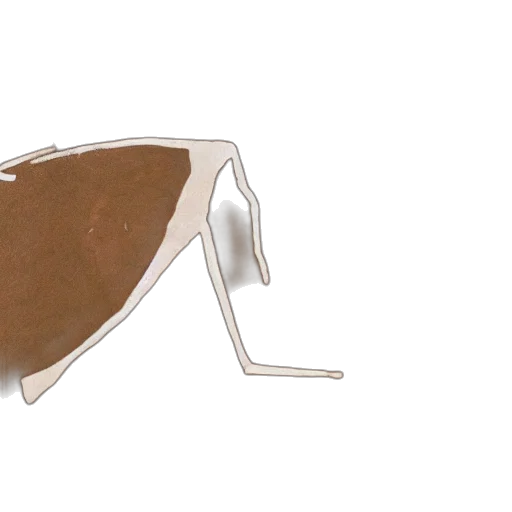 jewelry, shoes, mask, hat transparent PNG cut-out