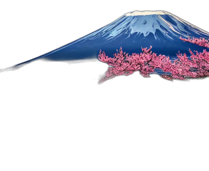 umbrella, hat, crown, flower transparent PNG cut-out