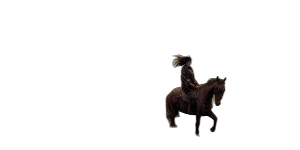 hair, animal, hat, creature transparent PNG cut-out