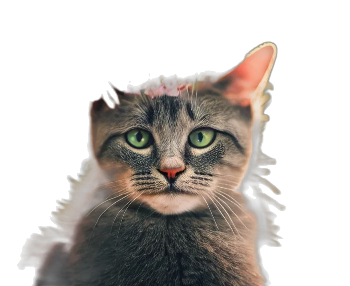 animal, face, staff, creature transparent PNG cut-out