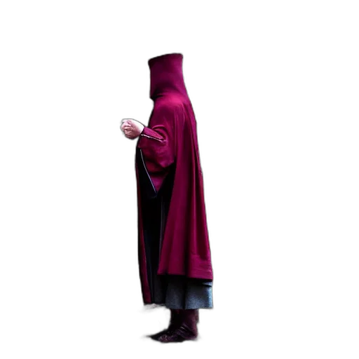 jacket, staff, dress, hat transparent PNG cut-out