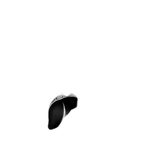 shoes, hat, hair, face, photorealistic, pencil sketch, concept art, 3d render transparent PNG cut-out