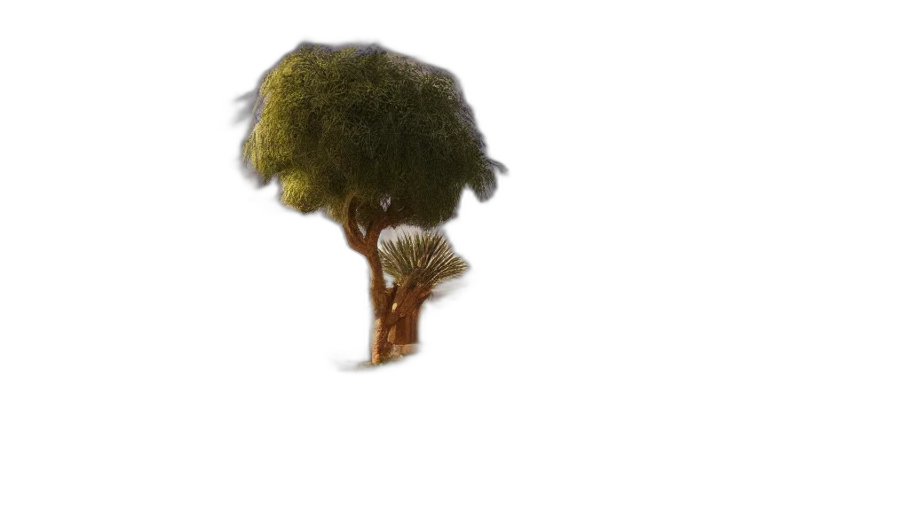 tree, hair, hat, crown transparent PNG cut-out