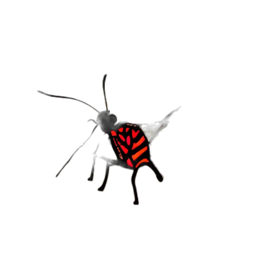 animal, creature, umbrella, dragon transparent PNG cut-out