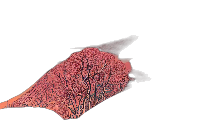 tree, mask, umbrella, hat transparent PNG cut-out