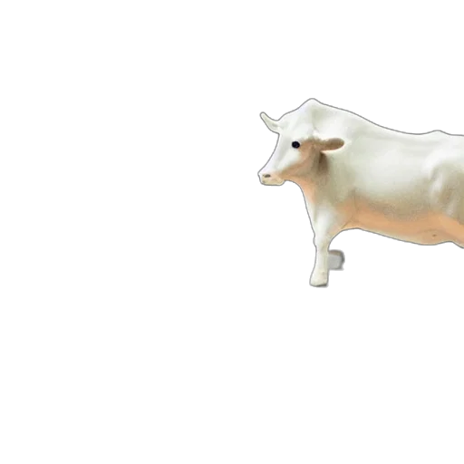 animal, food, creature, weapon transparent PNG cut-out