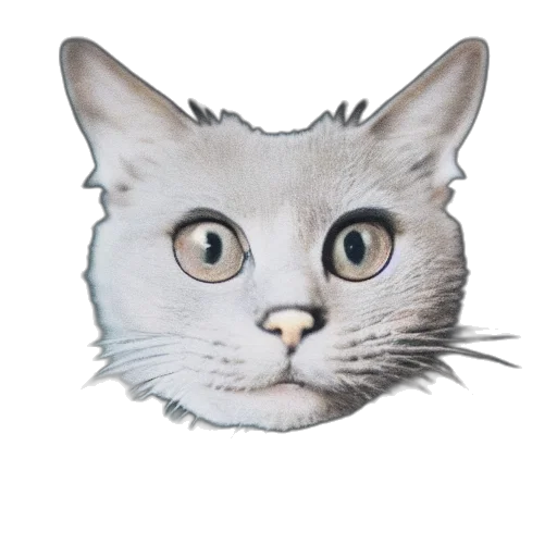 animal, face, creature, mask, photorealistic, 3d render, pixel art, concept art transparent PNG cut-out