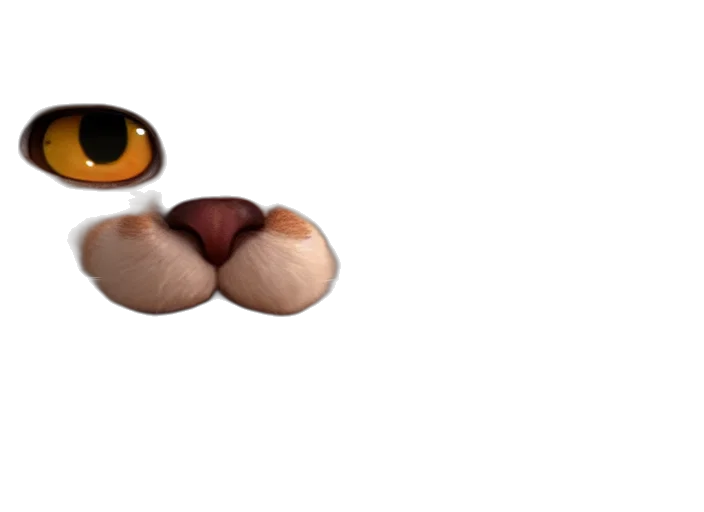animal, mask, hat, face transparent PNG cut-out