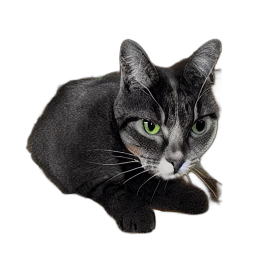 animal, staff, creature, face, photorealistic, 3d render, pixel art, cat transparent PNG cut-out
