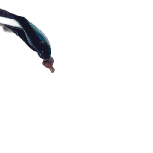 staff, creature, hair, animal transparent PNG cut-out
