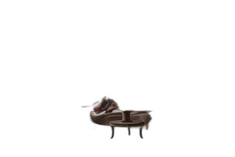 furniture, shoes, hat, animal transparent PNG cut-out