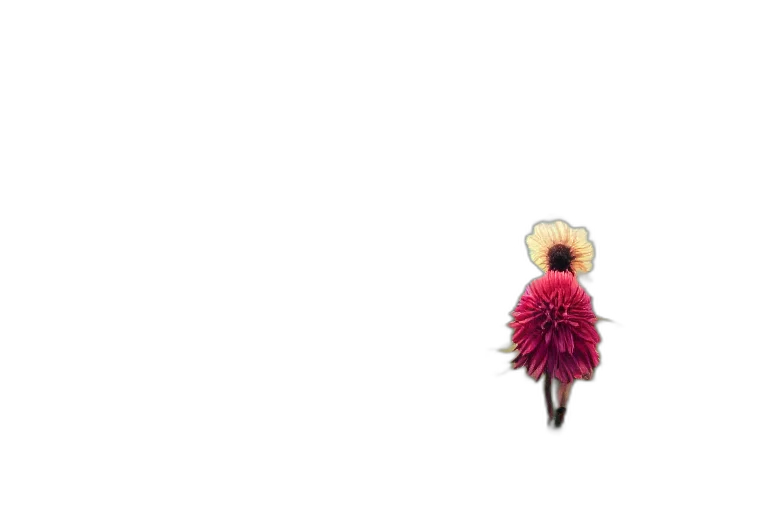 flower, hair, animal, staff, pixel art, concept art, 3d render, giant transparent PNG cut-out