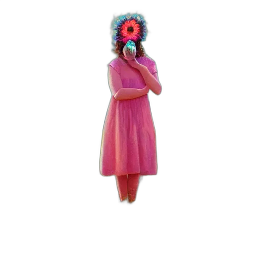 dress, flower, mask, hat transparent PNG cut-out