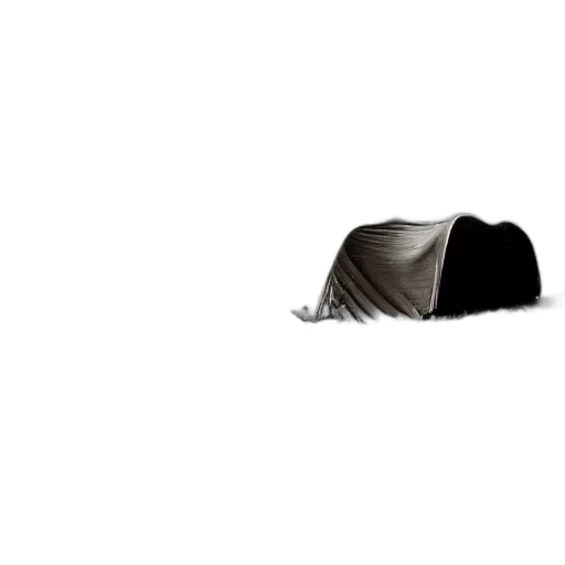 hat, umbrella, furniture, hair transparent PNG cut-out
