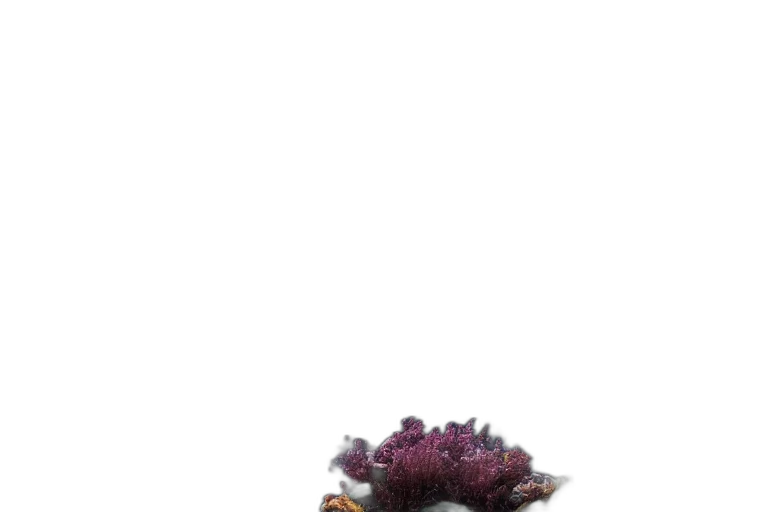 flower, crown, creature, dragon, 3d render, concept art, photorealistic, pixel art transparent PNG cut-out
