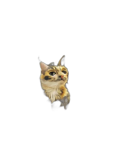 animal, creature, staff, face transparent PNG cut-out