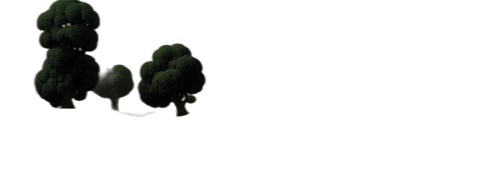 tree, crown, hat, hair transparent PNG cut-out