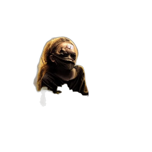 creature, animal, hair, face transparent PNG cut-out