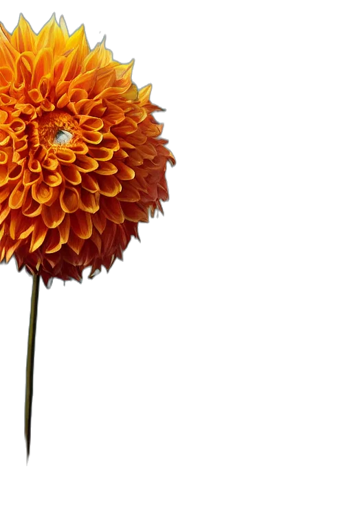 flower, crown, staff, umbrella, 3d render, photorealistic, golden, earth tones transparent PNG cut-out