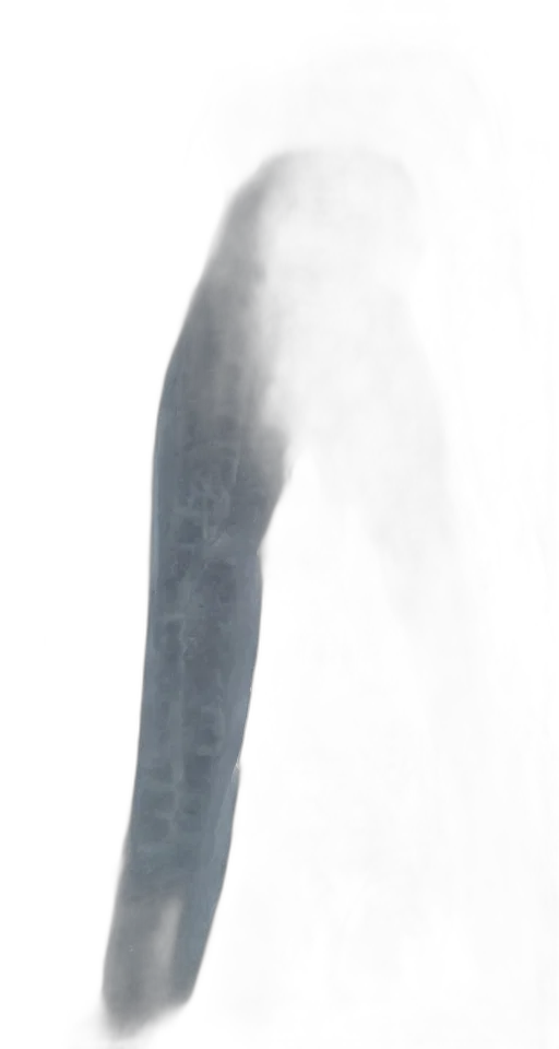 sword, weapon, staff, hair, 3d render, photorealistic, concept art, fantasy art transparent PNG cut-out