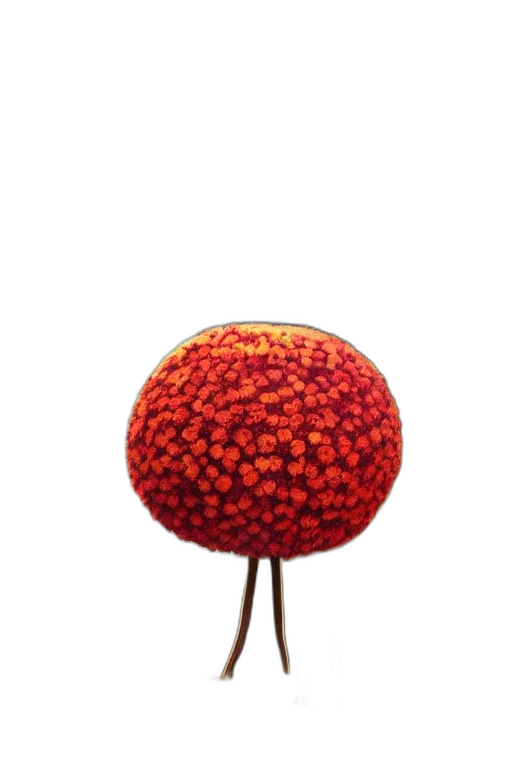 hat, furniture, crown, umbrella transparent PNG cut-out