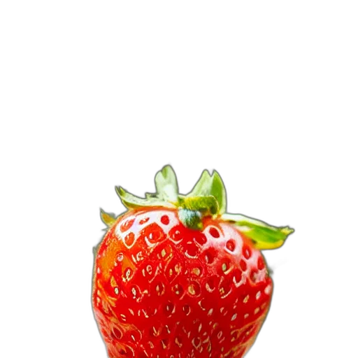 food, crown, flower, animal transparent PNG cut-out